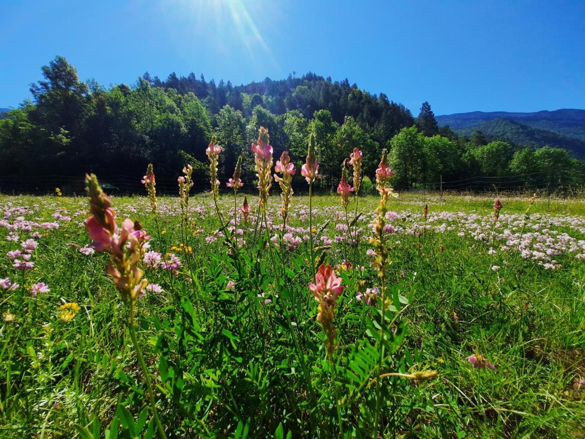 La Bergerie A Menee Hotel Châtillon-en-Diois Екстериор снимка